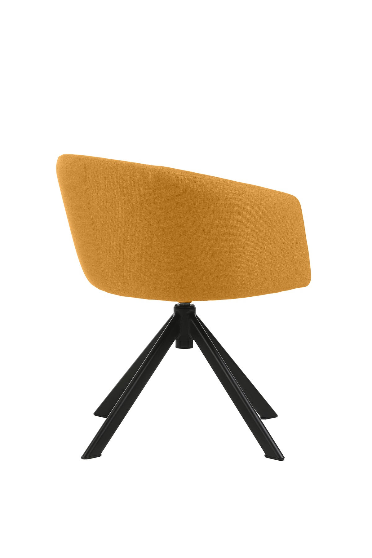 Fauteuil ARCO