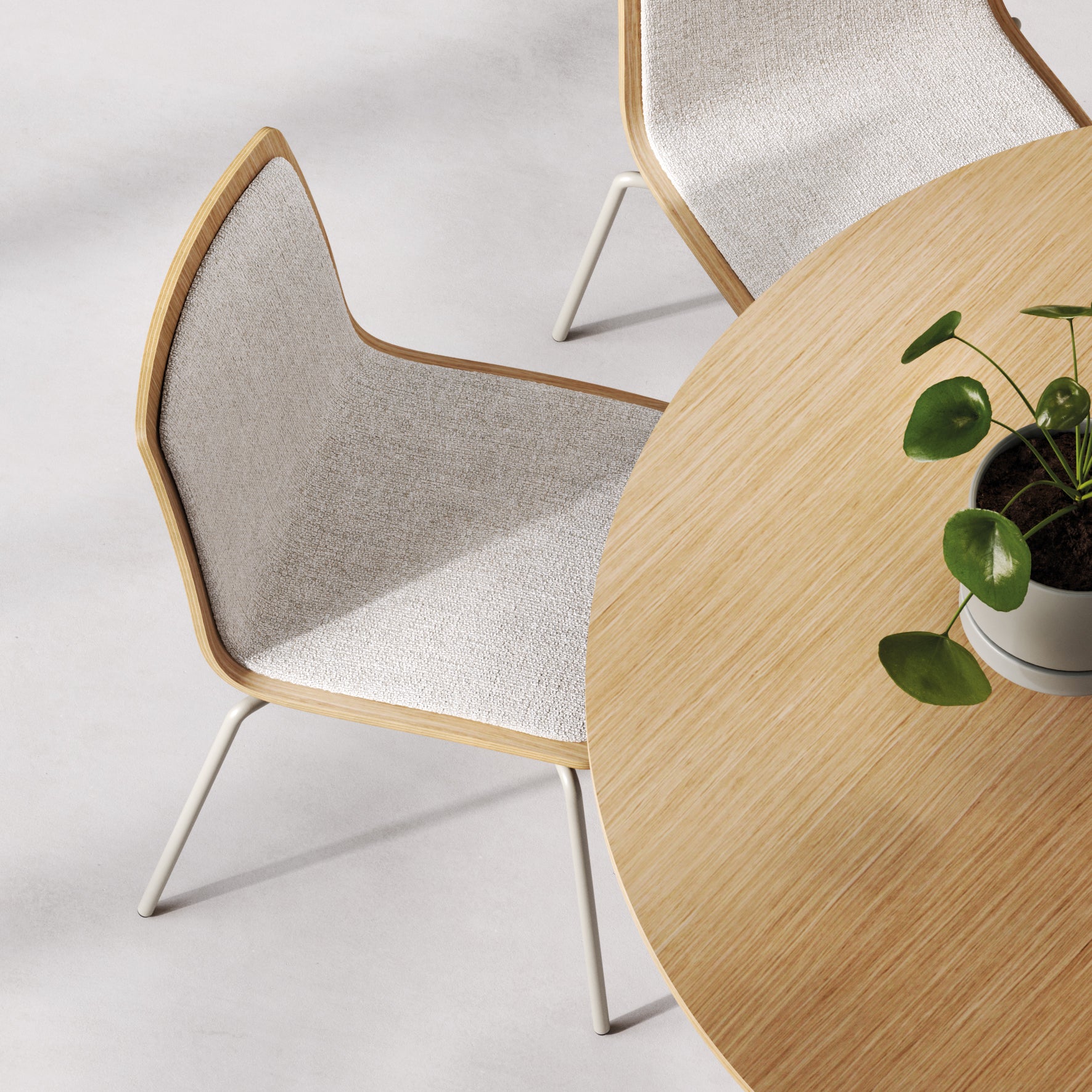Chaises en bois Yo Wood & Tissu